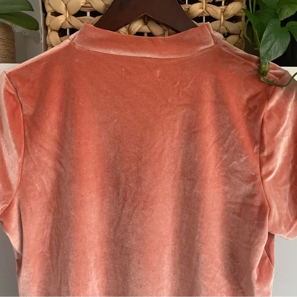 • [Madewell] Velvet Tie Neck Top • - Picture 8 of 10